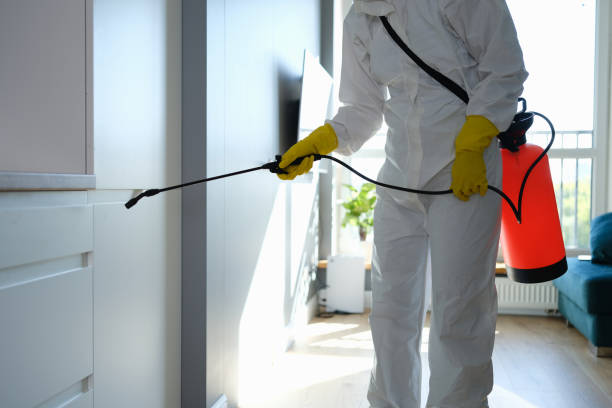 Best Office Mold Removal Services  in Royse City, TX